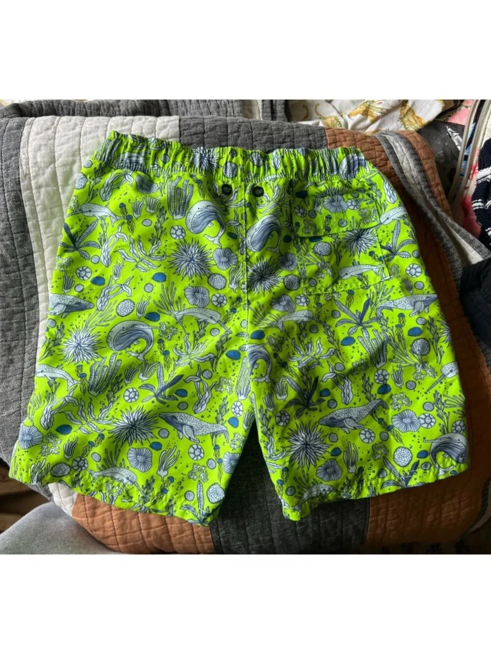Lime Green Marine Life Patterned  Swim Trunk Shorts by EGG susan Lazar Size 8